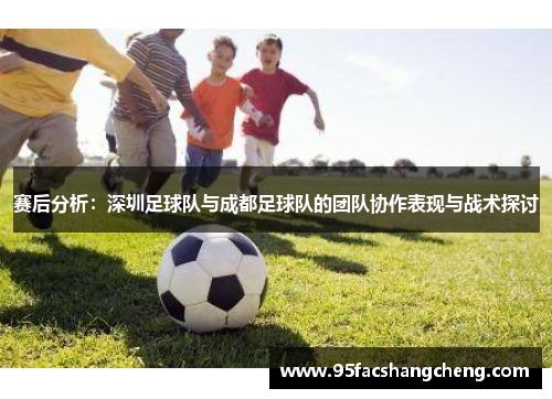 赛后分析：深圳足球队与成都足球队的团队协作表现与战术探讨